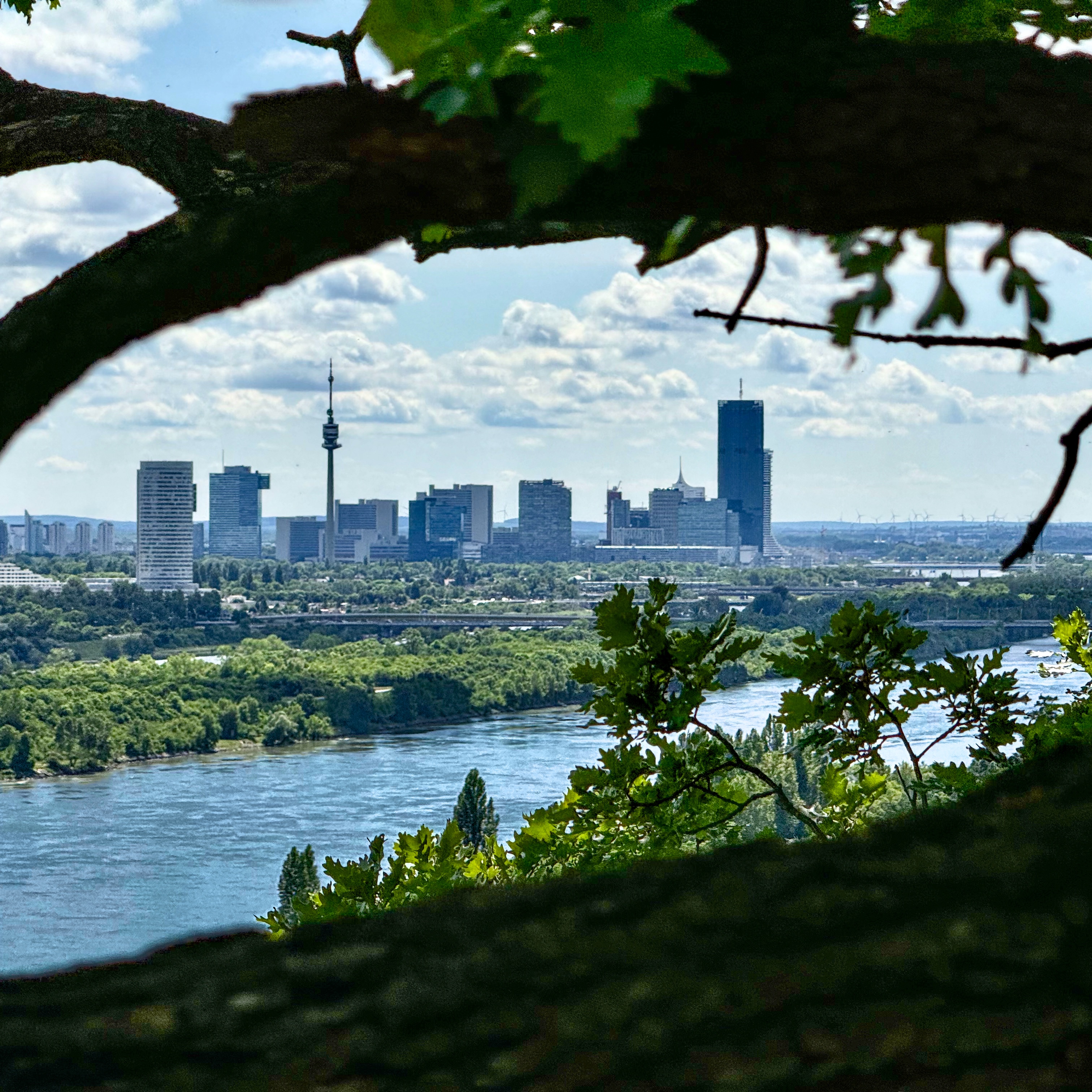Skyline, Vienna