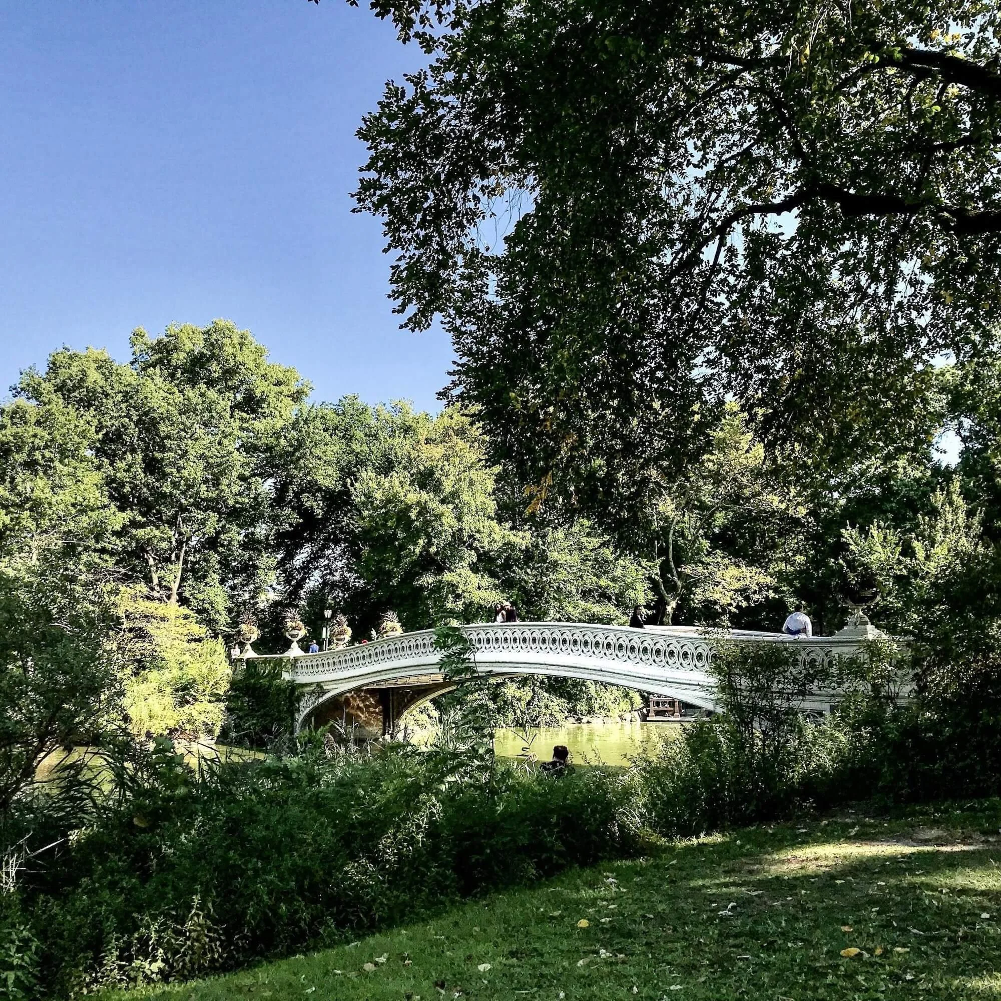 Bow Bridge aka Marriage Bridge in the Central Park