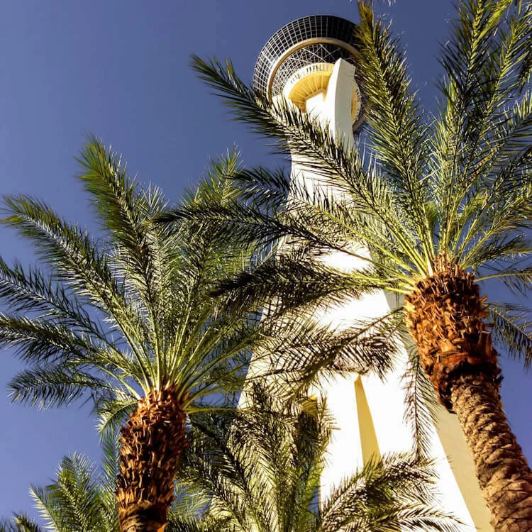 Stratosphere Tower Las Vegas shot with Pro HDR on iPhone 5