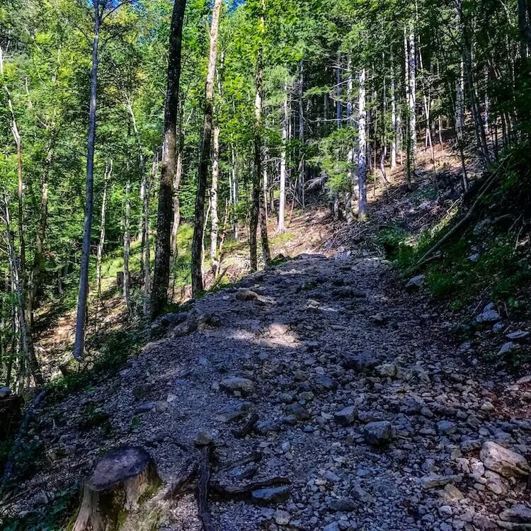 For the last hour, be prepared to hike here. Shot on iPhone 7 Plus