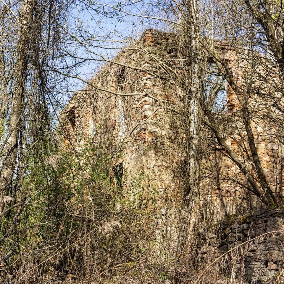 More abandoned structured in the woods at Döllersheim