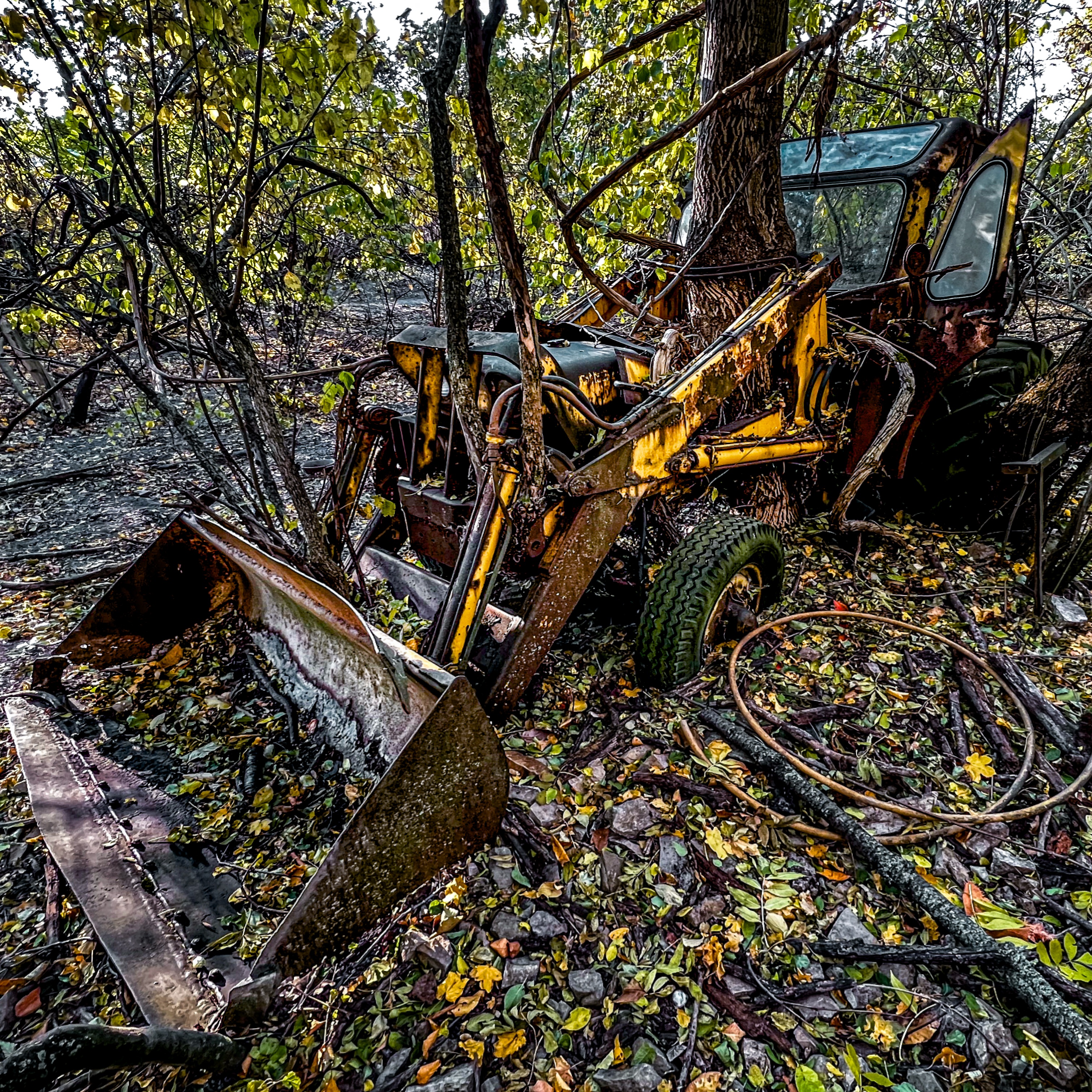 Abandoned Excavator, Austria