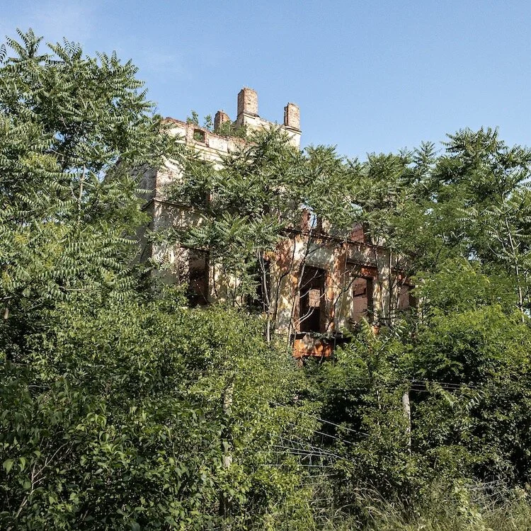 Abandoned structure in the woods