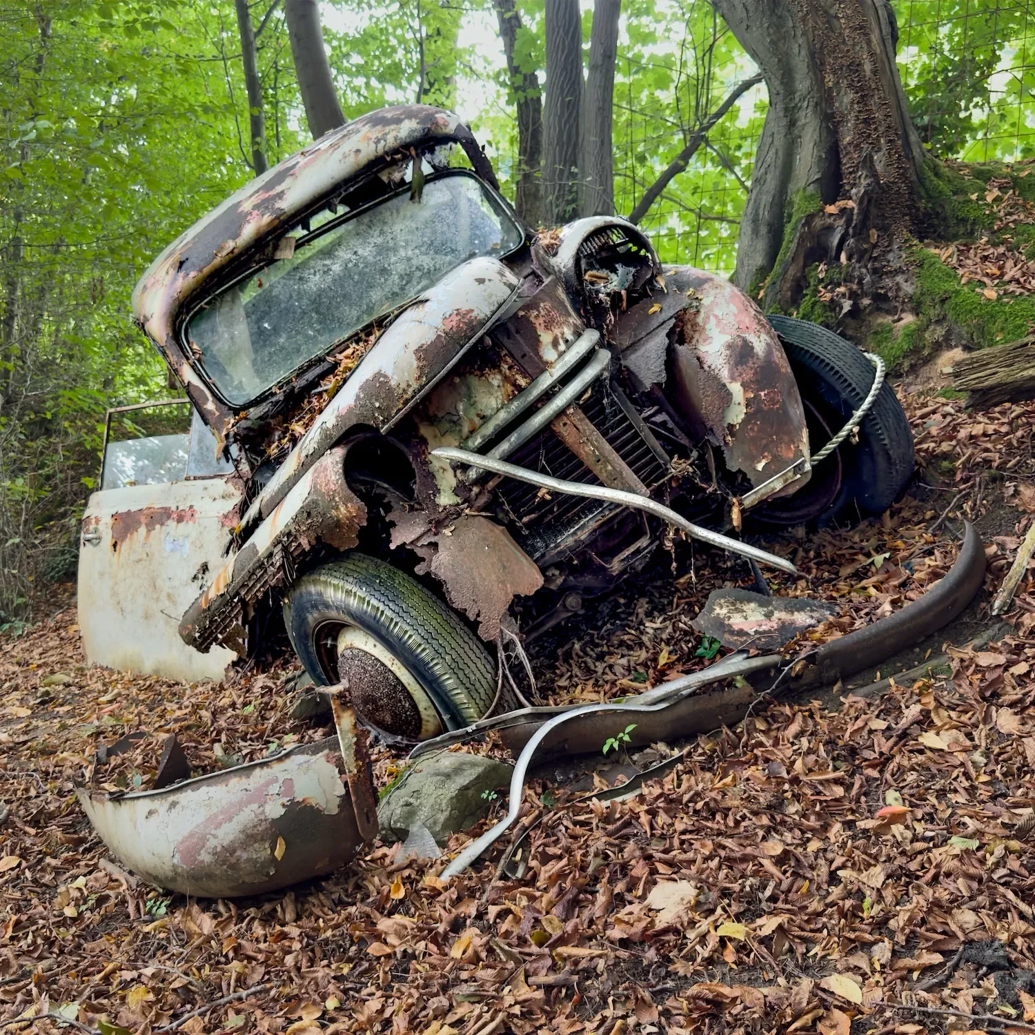 A Ford pickup decaying