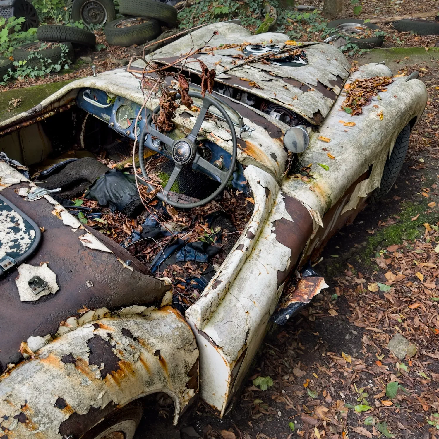 Jaguar XK 120, Neandertal