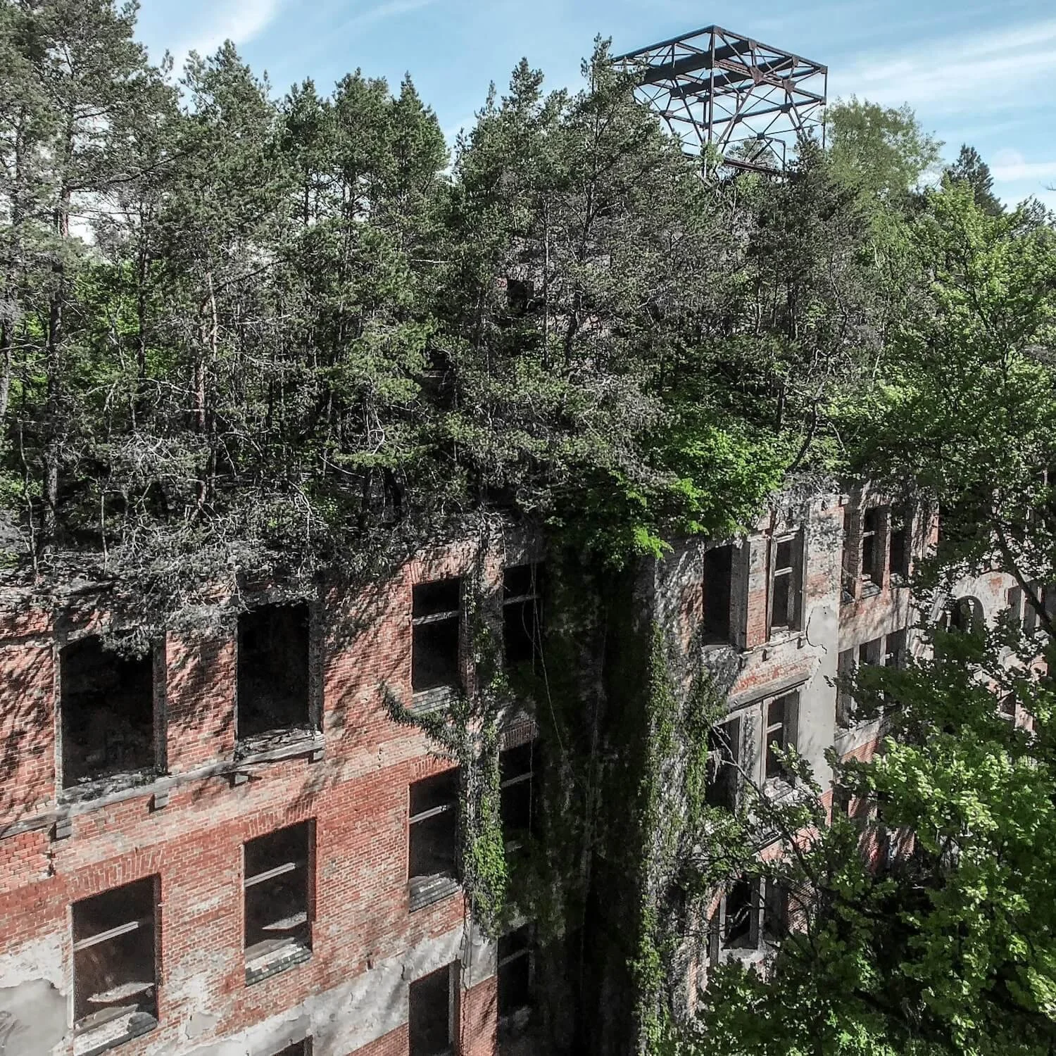 Experience this rooftop forest from the Beelitz Heilstätten canopy walk