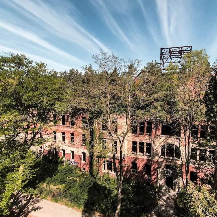 Dense vegetation and trees growing on top of the ruined Alpenhaus sanatorium at Beelitz Heilstätten