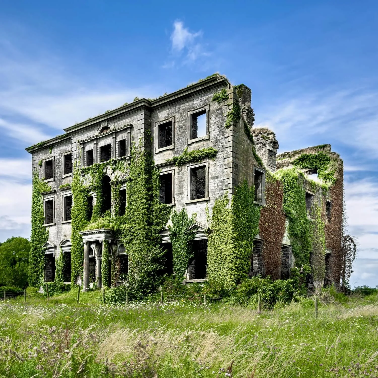 House of Tyrone, Ireland
