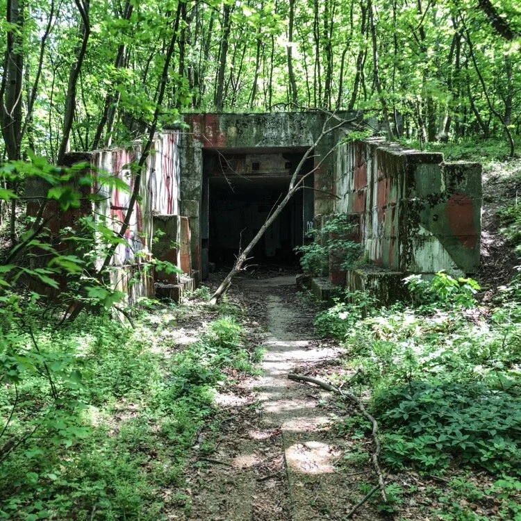 The bunkers at Devinska Kobyla are well hidden in the woods.