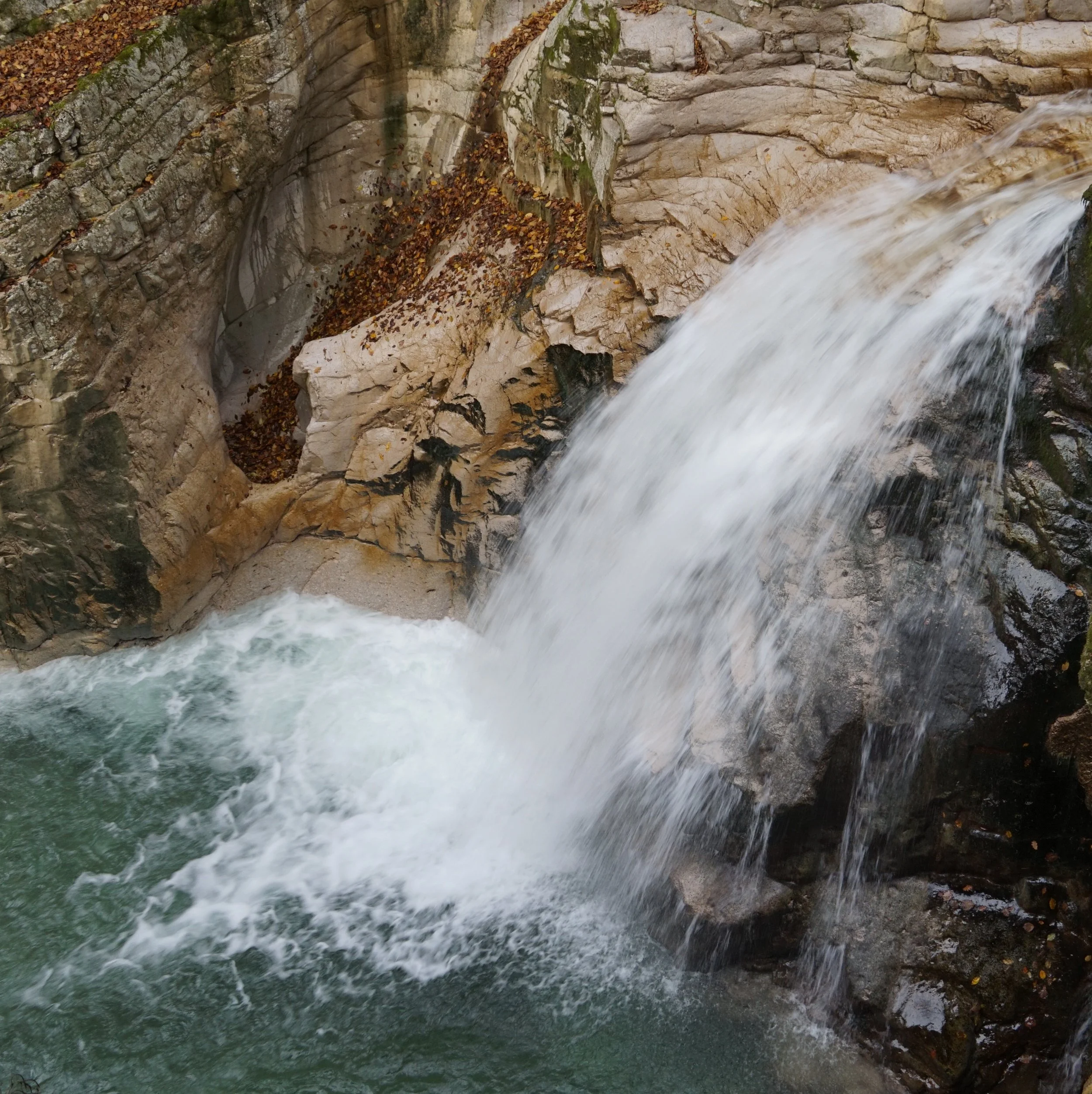 Review: Sony QX100 vs. QX1 vs. Moment Lenses